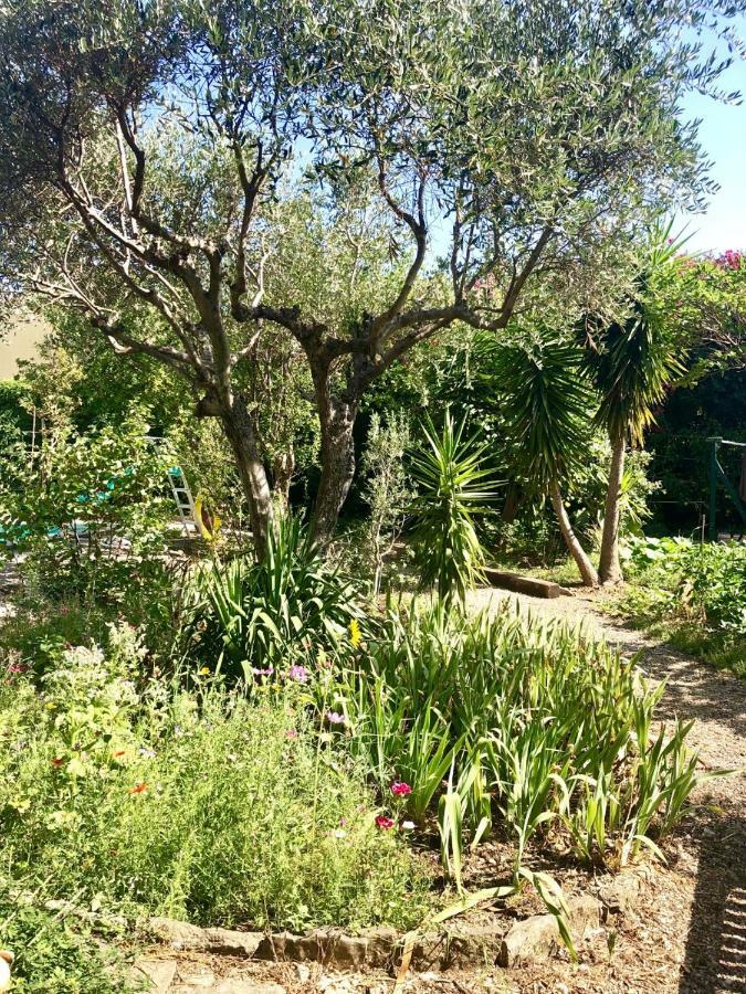 Ferienwohnung Les Pinsons La Ciotat Exterior foto